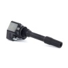 Dinan Ignition Coils - Bxx Series Style
