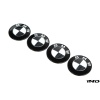 IND Carbon BMW Roundel Set
