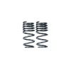 MMX Performance G42 2-Series Lowering Spring Set