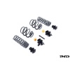 AST G8X M2 / M3 / M4 Adjustable Lowering Spring Kit