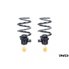 AST G8X M2 / M3 / M4 Adjustable Lowering Spring Kit