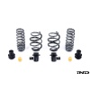 AST G8X M2 / M3 / M4 Adjustable Lowering Spring Kit