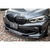 3D Design F40 1-Series M-Sport Carbon Front Lip