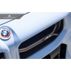 AutoTecknic G87 M2 Corsa Front Grille