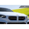 AutoTecknic G87 M2 Corsa Front Grille