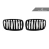 Autotecknic E70 / E71 Painted Front Grille Set