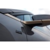 BMW I20 iX M60 Bronze M Fender Emblem