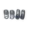 MMX Performance G8X M2/ M3 / M4 Lowering Spring Set