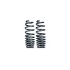 MMX Performance G8X M2/ M3 / M4 Lowering Spring Set