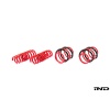 AST G8X M2 / M3 / M4 Lowering Spring Set