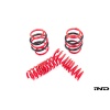 AST G8X M2 / M3 / M4 Lowering Spring Set