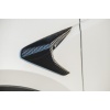 ADRO Tesla Model 3 Carbon Fiber Camera Covers