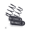 MMX Performance  MINI F-Chassis Lowering Spring Set