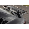 TRE G87 M2 TR87 Carbon Rear Wing