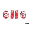 AST G90 / G99 M5 Sedan Lowering Spring Set
