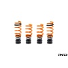 AST G90 / G99 M5 Adjustable Lowering Spring Kit