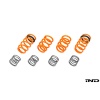 AST G90 / G99 M5 Adjustable Lowering Spring Kit