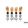 AST G90 / G99 M5 Adjustable Lowering Spring Kit