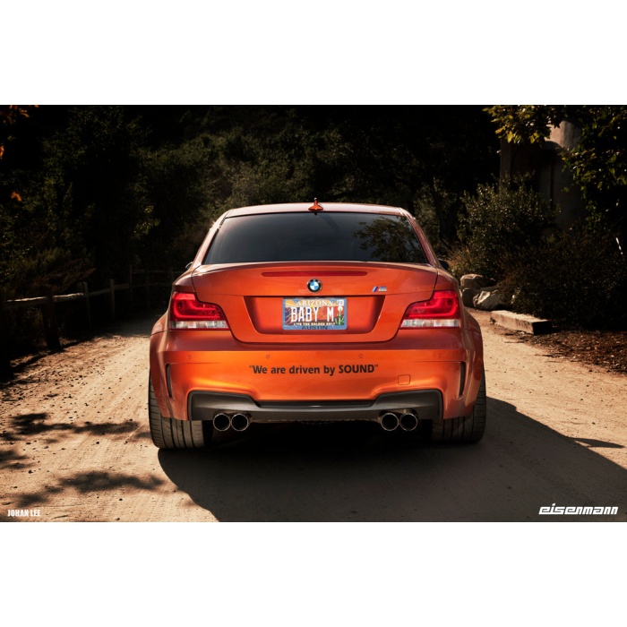 Eisenmann E82 1M Performance Exhaust System