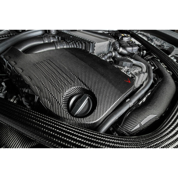 Eventuri BMW F8X M3 / M4 S55 Black Carbon Engine Cover