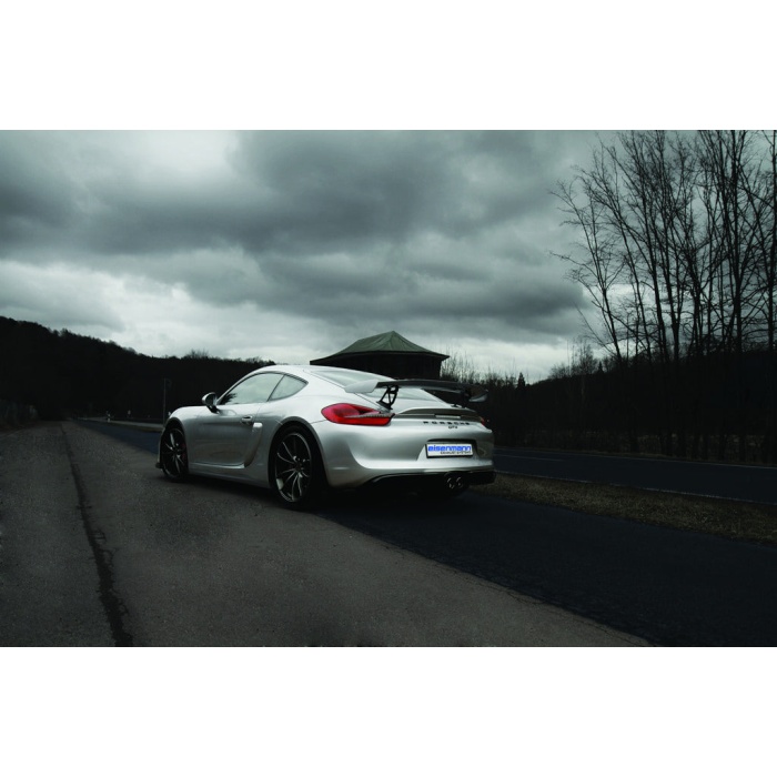 Eisenmann 981 Cayman GT4 / Boxster S Performance Exhaust