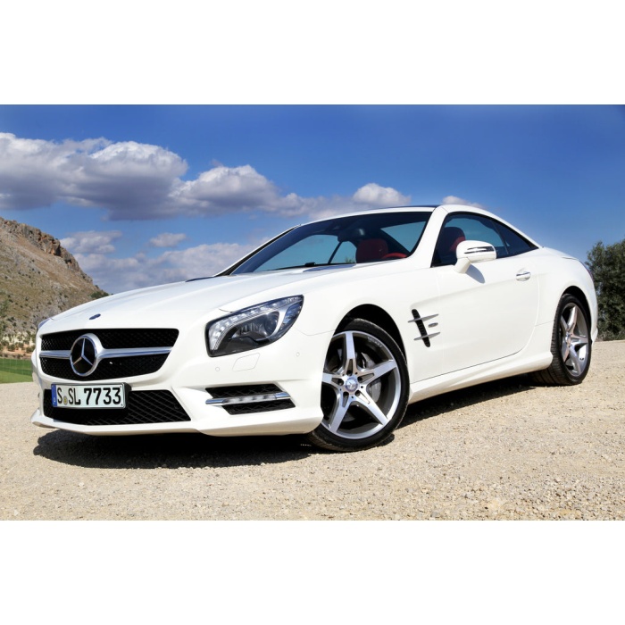 EIsenmann R231 SL500 Performance Exhaust