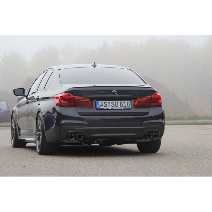 Eisenmann G30 M550i Performance Exhaust