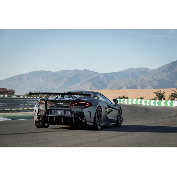 Vorsteiner 570S Carbon Rear Bumper + Diffuser