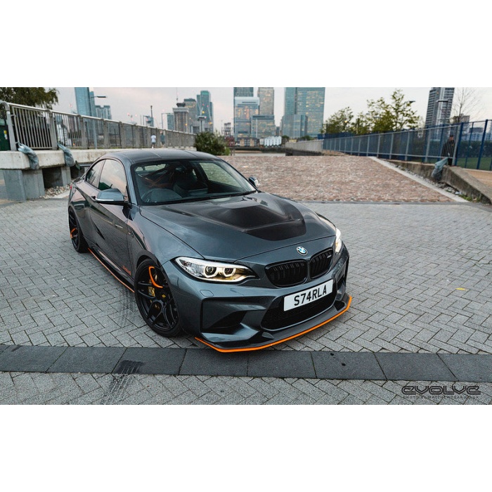 Alpha-N F87 M2 Carbon GTS Hood