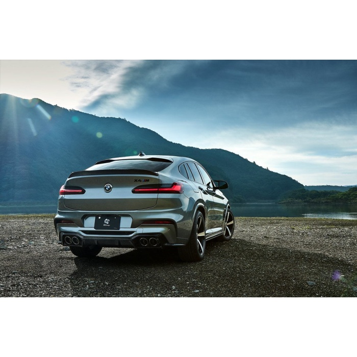 3D Design F98 X4M Pre-LCI Carbon Rear Diffuser