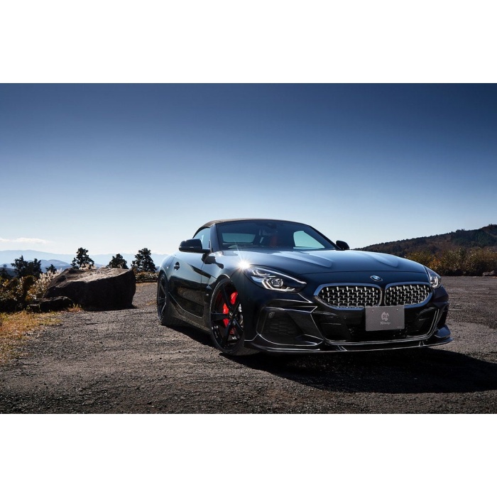 3D Design G29 Z4 M40i Front Lip