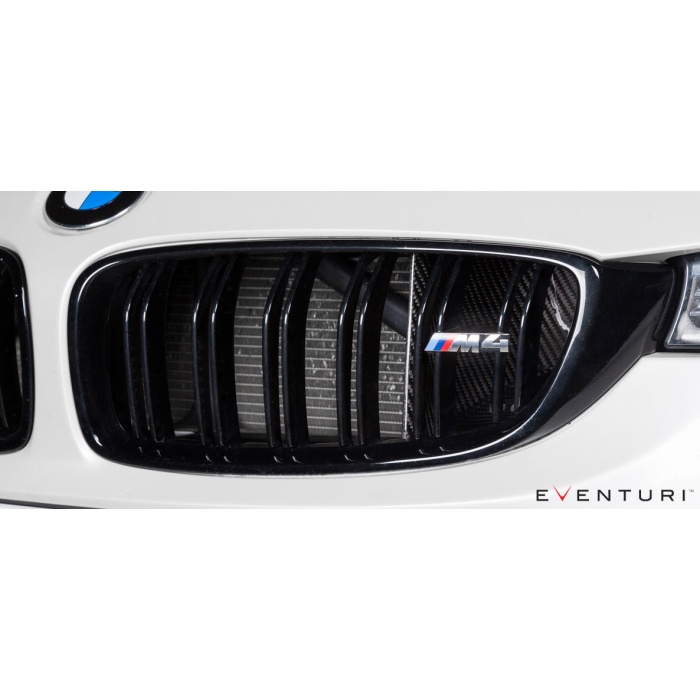 Eventuri BMW F8X M3 / M4 Black Carbon Air Scoop Set