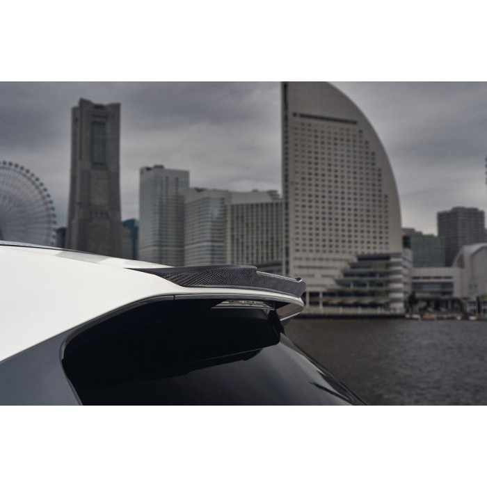 3D Design I20 iX Carbon Roof Spoiler