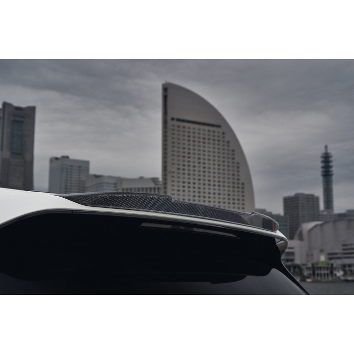 3D Design I20 iX Carbon Roof Spoiler