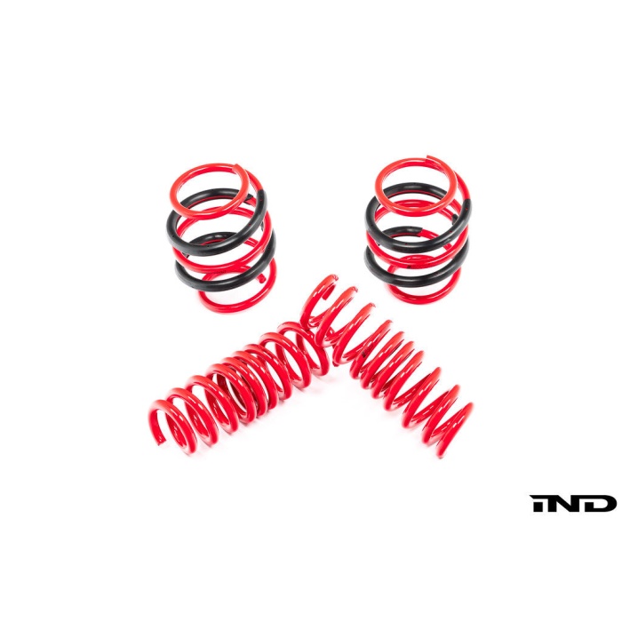 AST G8X M2 / M3 / M4 Lowering Spring Set