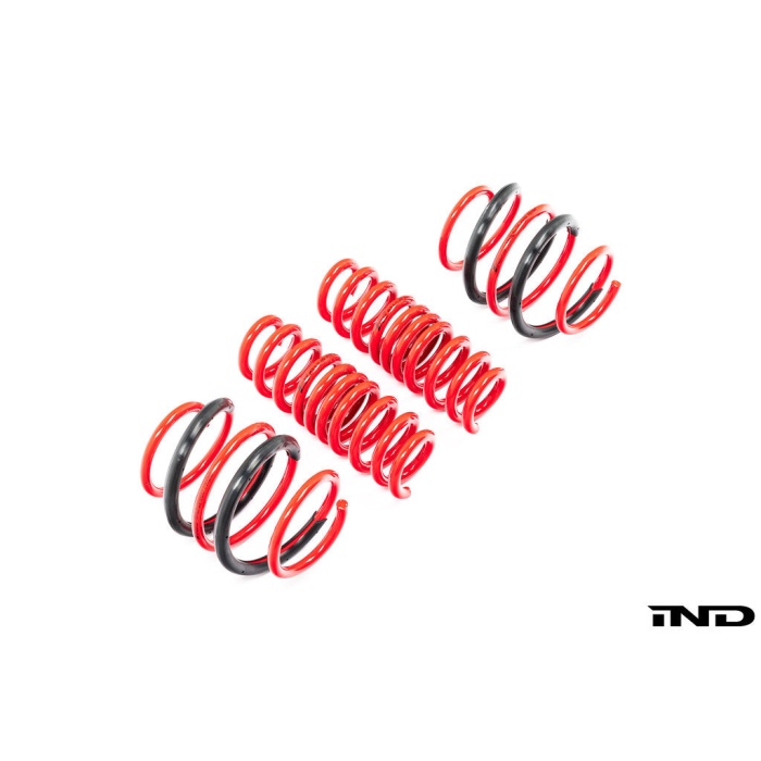 AST G8X M2 / M3 / M4 Lowering Spring Set