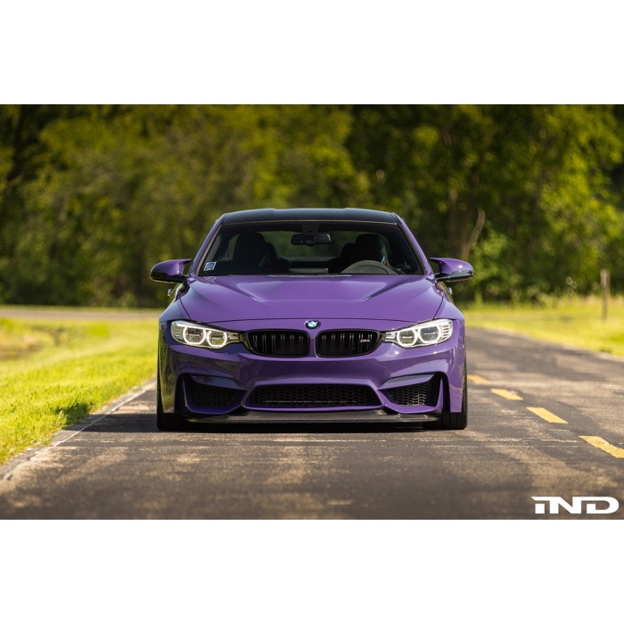 Alpha-N F82 M4 Carbon GTS Hood