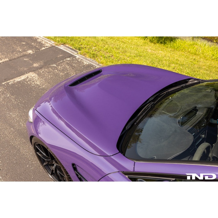 Alpha-N F82 M4 Carbon GTS Hood