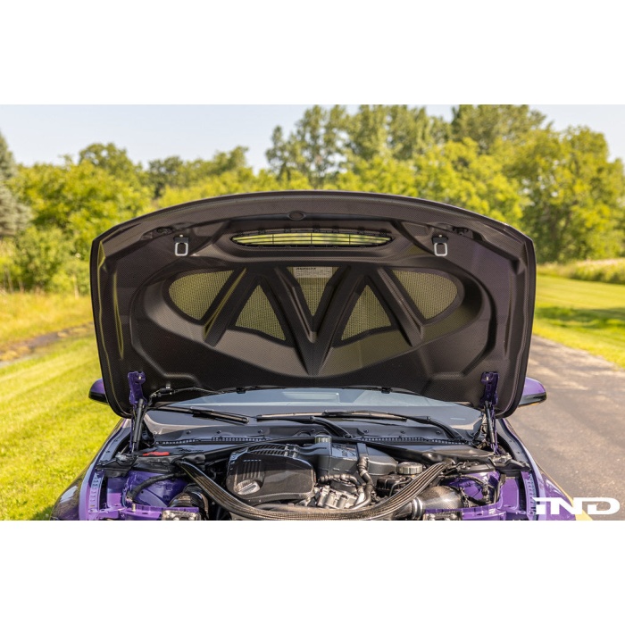 Alpha-N F82 M4 Carbon GTS Hood