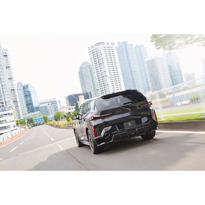 3D Design G09 XM Carbon Rear Diffuser