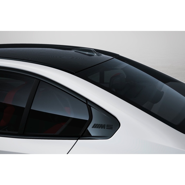 BMW M Performance G-Chassis 5 / 7-Series Aramid Roof Antenna