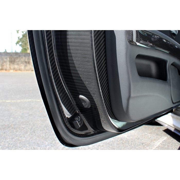 Karbonius E92 M3 Coupe Carbon Door Set