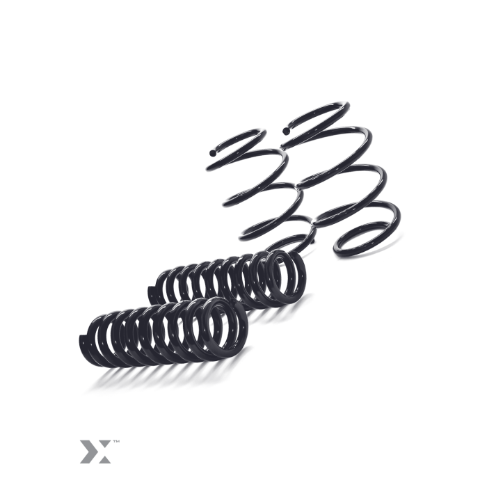 MMX Performance  MINI F-Chassis Lowering Spring Set