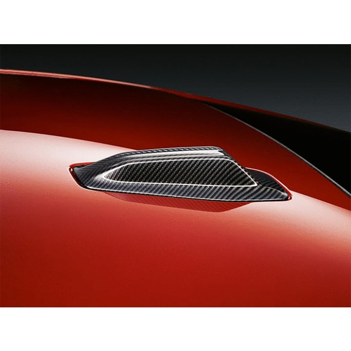 AutoTecknic G60 / G70 / G90 Dry Carbon Roof Antenna