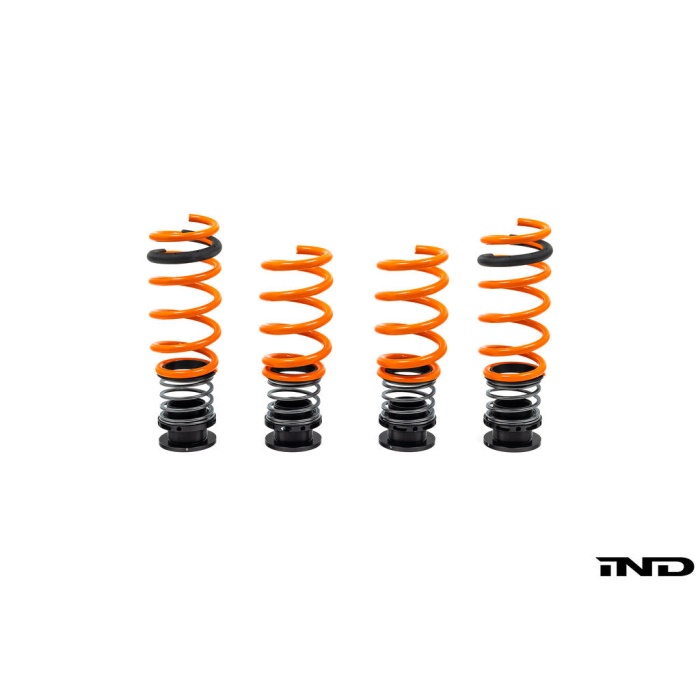 AST G90 / G99 M5 Adjustable Lowering Spring Kit