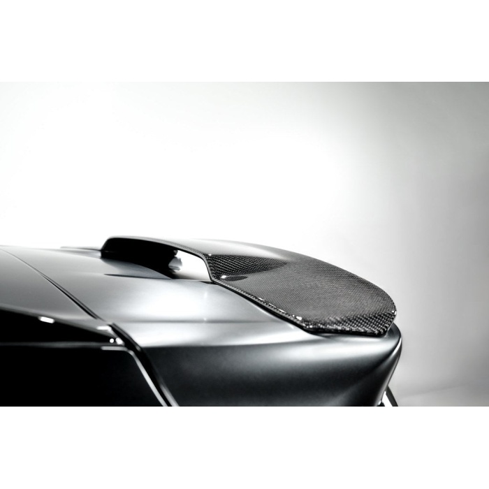 3D Design F95 X5M Carbon Roof Spoiler