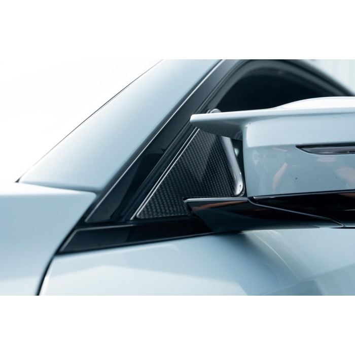 Verus Engineering G87 M2 Carbon Anti-Buffeting Wind Deflector Set