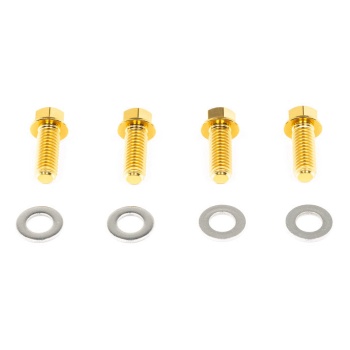 Rogue Engineering Exhaust Brace Titanium Hardware Kit - Gold Anodized