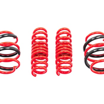 AST G8X M2 / M3 / M4 Lowering Spring Set