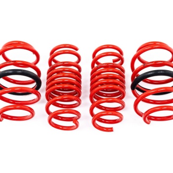 AST F97 X3M / F98 X4M Lowering Spring Set